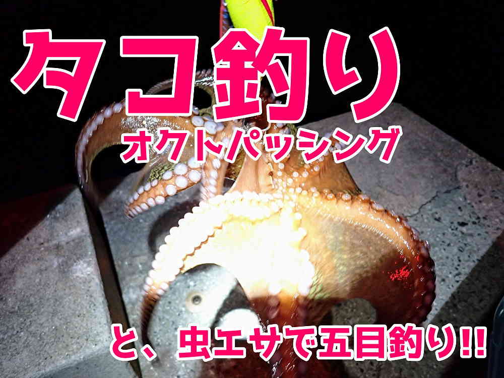 オクトパッシング アオイソメ 青虫 で五目釣り Tsurero