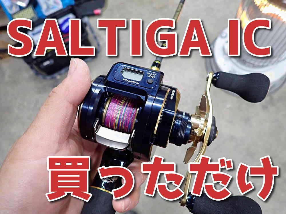 SALTIGA IC 100P-DH買っただけ！ | TSURERO